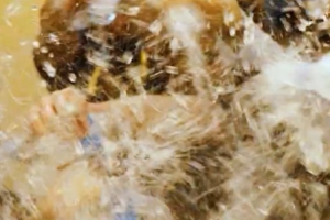 成功拿下總冠軍后，大家在更衣室用一場(chǎng)特別的狂歡慶祝榮耀時(shí)刻！