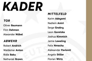 德國(guó)名單：沃爾特馬德、維爾茨領(lǐng)銜 基米希、努貝爾在列 薩內(nèi)落選