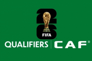 世預(yù)賽非洲區(qū)附加賽：尼日利亞對(duì)加蓬，喀麥隆對(duì)民主剛果