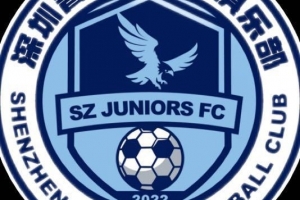 保級(jí)生死戰(zhàn)！深圳青年人官方：中甲末輪將開(kāi)放部分現(xiàn)場(chǎng)觀賽名額