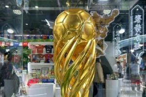 “蘇超”冠軍獎杯出現(xiàn)在進博會，成為吸引觀眾拍照打卡的亮點