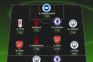 whoscored英超11月最佳陣：安德森、多庫領(lǐng)銜，哈蘭德、賴斯在列