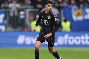 埃貝爾：帕夫洛維奇似乎是肌肉拉傷，希望他問題不大但我沒法診斷