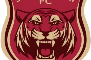 苗原：嘉定匯龍去寧波只差最后細(xì)節(jié)，寧波能直接支持到俱樂部