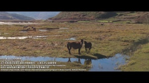 沃爾夫斯堡足球俱樂部《用足球連接世界》