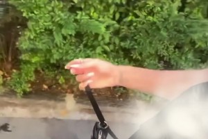 卡里烏斯老婆一身清涼裝在街邊遛狗，這小博美好可愛呀??