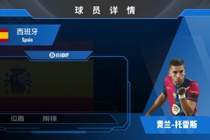 費蘭球員集錦：跑位瀟灑 射術(shù)一流的西班牙前鋒