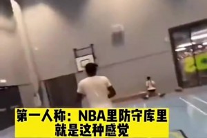 網(wǎng)友惡搞：第一人稱視角，在NBA防庫(kù)里大概就是這種感覺(jué)！