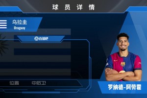 別讓記憶塵封！德甲官博：中國(guó)戰(zhàn)神楊晨曾征服德甲??